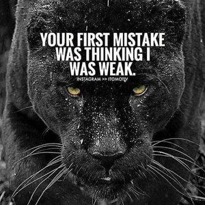 Meet your Posher, Ricky